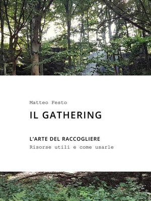 cover image of Il gathering